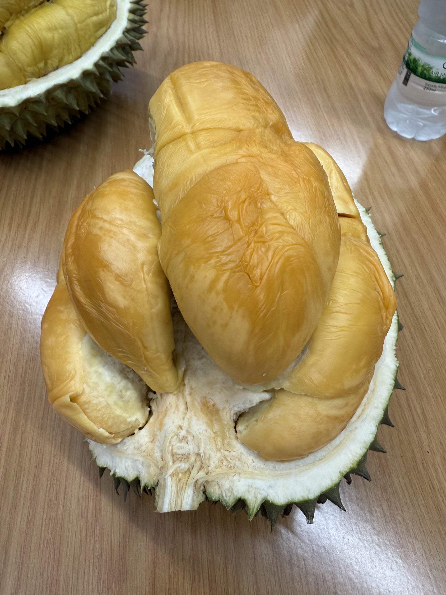 马来西亚黑刺榴莲